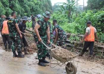 Aksi Sigap Prajurit TNI AL Tangani Tanah Longsor dan Pohon Tumbang di Pesawaran