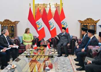 Pertemuan Presiden Prabowo dan Presiden Boluarte Tegaskan Arah Kemitraan Strategis Indonesia–Peru