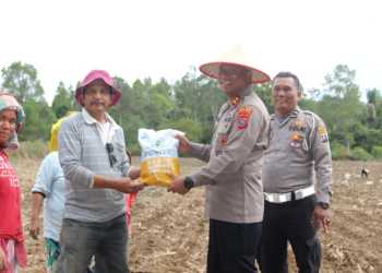 Wujud Nyata Polri: Kapolres Humbahas Bagikan Benih Jagung Hibrida