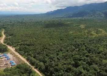 20 Izin Perhutanan Sosial Diusulkan untuk Tujuh Kabupaten di Papua Barat