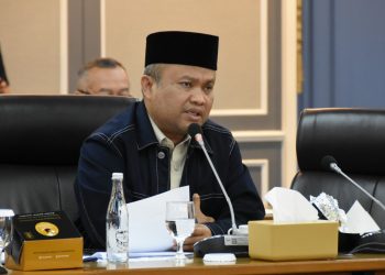 DPR Bentuk TGPF Usut Dugaan Pelanggaran HAM oleh PT Toba Pulp Lestari