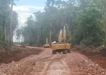 Hentikan Perampasan Tanah Adat Atas Nama PSN Merauke