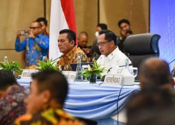 Mendagri Ingatkan Pemda Tingkatkan Pembangunan SDM di Kepri