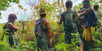 Kontak Tembak TPNPB di Teluk Bintuni, Satu Anggota TNI Gugur