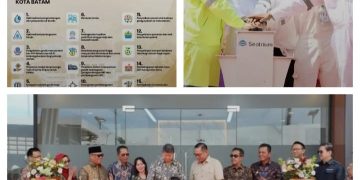 Investasi Batam Meroket, Capai Rp33,66 Triliun dan Serap 51 Ribu Tenaga Kerja Baru