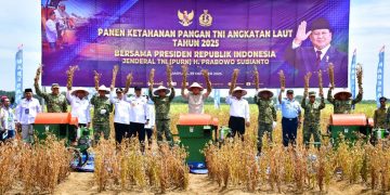 Komitmen Perkuat Ketahanan Pangan Nasional, TNI AL Panen Komoditas Kedelai Varietas Unggulan di Lampung