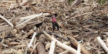 Komisi IV DPR Minta Satgas PKH Usut Tuntas Kayu Gelondongan saat Banjir Sumatra