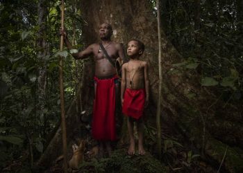 Dorong Percepatan Pengakuan, Anggota DPD RI : Tanah Adat Papua Itu Warisan Leluhur
