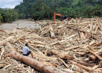 DPR Akan Panggil Menhut Bahas Dugaan Deforestasi Pemicu Banjir Sumatra