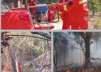 Kebakaran Hutan Lindung di Bukit Dangas Sekupang, Damkar Kemenhut Batam Tim A Manggala Agni reaksi cepat padamkan api.