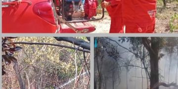 Kebakaran Hutan Lindung di Bukit Dangas Sekupang, Damkar Kemenhut Batam Tim A Manggala Agni reaksi cepat padamkan api.