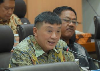 Papua Barat Daya Tidak Menginginkan Adanya Investasi Kelapa Sawit