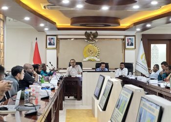 Papua Darurat Kemanusiaan, Presiden Prabowo Didesak Laksanakan Seluruh Rekomendasi DPD RI