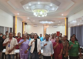 Ketua Komite III DPD RI Terima Aspirasi Tenaga Kesehatan di Manokwari
