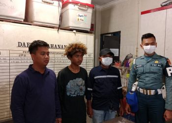 TNI AL Gagalkan Penyelundupan Ganja di Pelabuhan Jayapura, Satu Kurir Diamankan