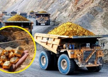 Dana Abadi Papua Mengubah Kekayaan Alam Menjadi Warisan Abadi Bagi Generasi