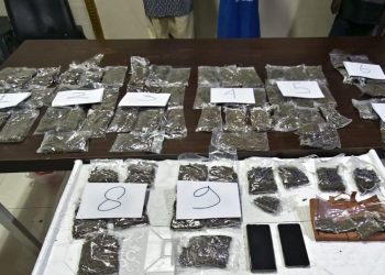 Ungkap Kasus Peredaran Ganja di Manokwari, Polisi Amankan Tiga Terduga