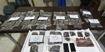 Ungkap Kasus Peredaran Ganja di Manokwari, Polisi Amankan Tiga Terduga