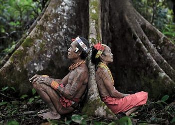 Pemerintah se-Tanah Papua Didesak Rumuskan Perda Tindak Pidana Adat