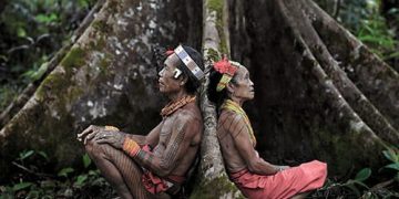 Pemerintah se-Tanah Papua Didesak Rumuskan Perda Tindak Pidana Adat