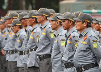Kemendagri Dukung Peran Satlinmas Jaga Ketertiban Umum