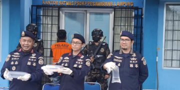 KKP Gagalkan Benih Lobster Ilegal Bernilai Rp4,6 Miliar