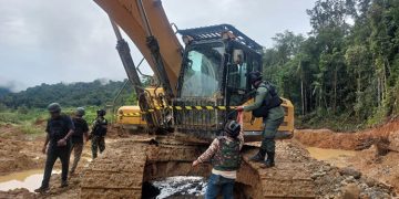 Gakkum Kehutanan Bongkar Tambang Emas Ilegal di Kawasan Hutan Papua, 10 Alat Berat dan 7 WNA China Diamankan