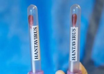 Legislator PDIP Minta Pemerintah Gencarkan Surveilans Cegah Penyebaran Hantavirus