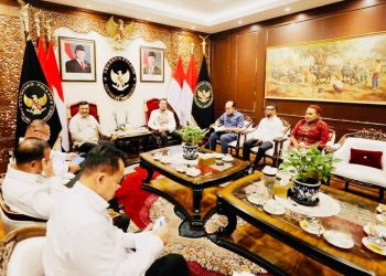 Menkopolkam dan DPD RI Bahas Konflik Bersenjata, PSN hingga Kemanusiaan Papua