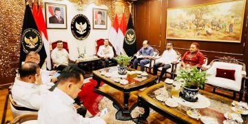 Menkopolkam dan DPD RI Bahas Konflik Bersenjata, PSN hingga Kemanusiaan Papua