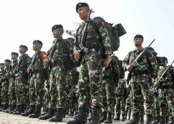 TNI Ingatkan Potensi Dampak Pemutaran Film Dokumenter “Pesta Babi”