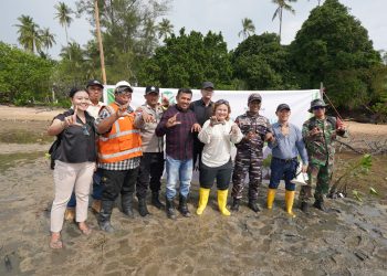 Aksi Hijau Berkelanjutan KEK Tanjung Sauh: PT Batamraya Sukses Perkasa Kembali Tanam 1.000 Bibit Mangrove