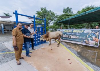 SAMBUT IDUL ADHA 1447 H, PANBIL GROUP KEMBALI SALURKAN HEWAN KURBAN KE BERBAGAI WILAYAH DI BATAM