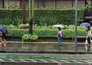 BMKG Prediksi Mayoritas Kota Besar Diguyur Hujan Ringan saat Idul Adha