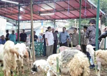 Wagub DKI Imbau Warga Jaga Kebersihan saat Sembelih Hewan Kurban