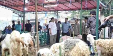 Wagub DKI Imbau Warga Jaga Kebersihan saat Sembelih Hewan Kurban