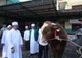 Plh. Wali Kota Bekasi Serahkan Bantuan Sapi Qurban Presiden di Masjid Al Mukhlisin Jatiasih