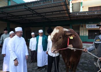 Plh. Wali Kota Bekasi Serahkan Bantuan Sapi Qurban Presiden di Masjid Al Mukhlisin Jatiasih