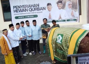 Partai Golkar Tebar Semangat Iduladha dengan 47 Sapi Kurban, Sapi Bahlil Capai 1,3 Ton