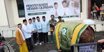 Partai Golkar Tebar Semangat Iduladha dengan 47 Sapi Kurban, Sapi Bahlil Capai 1,3 Ton
