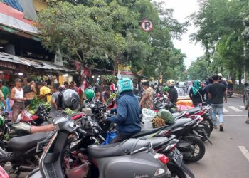 Anggota DPRD DKI Nilai Persoalan Parkir Jakarta Sudah Masuk Tahap Darurat Tata Kelola