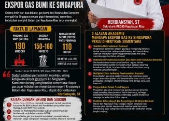 Gas Natuna Mengalir ke Singapura, Batam Baru Kebagian? Projo Kepri Desak Pemerintah Hentikan Sementara Ekspor Gas Bumi