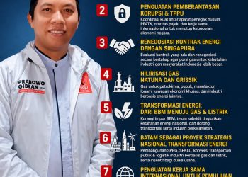 Stop Ekspor Gas ke Singapore Sementara, Projo Kepri Dorong Renegosiasi Kontrak, Prioritaskan Hilirasi dalam Negeri