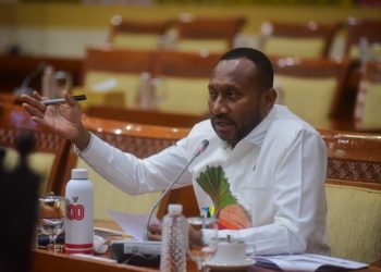 Anggota DPR RI Dorong Penguatan Pengawasan Izin Tinggal dan Aktivitas WNA di Batam