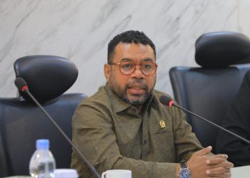 Filep Wamafma Desak Prabowo Bentuk Satgas Antipungli di Kantor Imigrasi