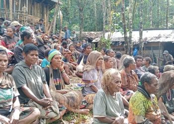 122.931 Warga di Tanah Papua Masih Hidup di Pengungsian