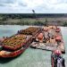 Pemerintah Indonesia Bungkam Aktivis Lingkungan di Tanah Papua