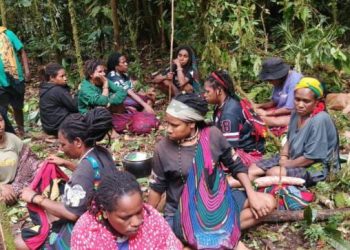 Tiga Tewas Tertembak, Warga Korowai Papua Dilaporkan Mengungsi