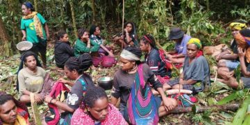 Tiga Tewas Tertembak, Warga Korowai Papua Dilaporkan Mengungsi