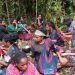 Tiga Tewas Tertembak, Warga Korowai Papua Dilaporkan Mengungsi